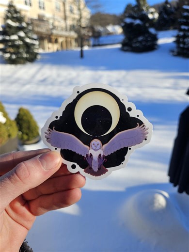 Celestial Owl Sticker! - Etsy