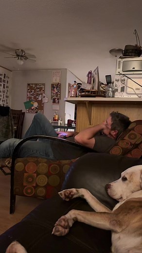 Derek derek derek poop poop poooooop #derekpoopsong #poopsong #poopsongnames #fyp