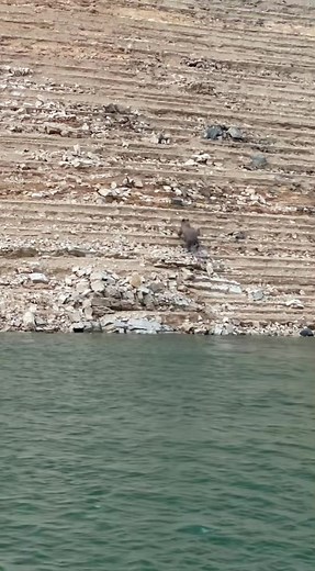 17K views · 635 reactions | Nature boy | Josh Jones Fishing | Facebook