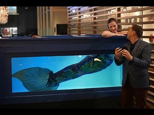 Mermaid Mobile Tank Show