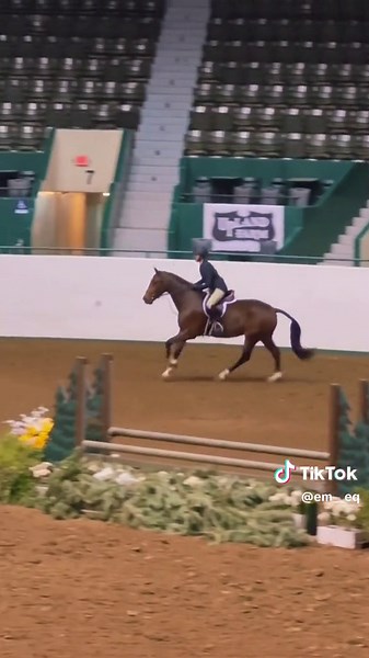 Incredible National Derby Experience and My Brave Horse