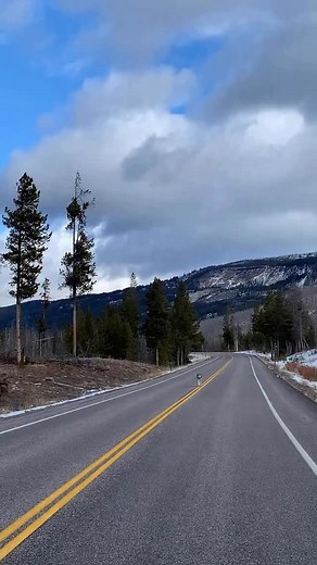 8.9K views · 5.8K reactions | Seeing a wild wolf running down a road...