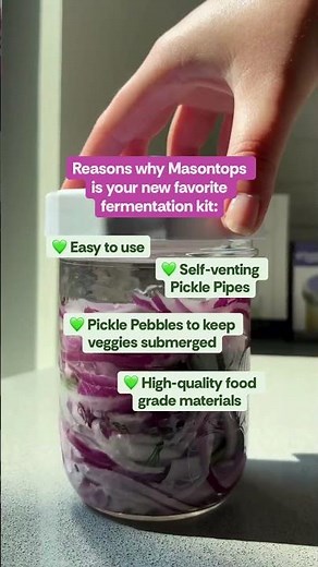 Your New Fave Fermentation Kit - Masontops
