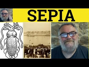 🔵 Sepia Meaning - Sepia Examples - Sepia Definition - Colours - Sepia