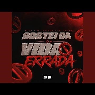 Gostei da Vida Errada