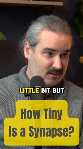 How Tiny Is a Synapse?