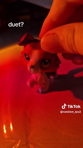 #lpscollection #duet #lps #lpsduet
