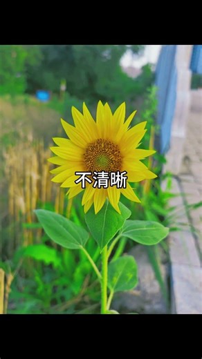 Master Color Correction in Photos - Learn & Share Your Skills