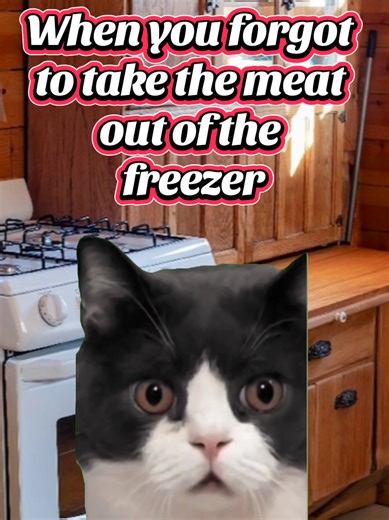 Forgotten Meat: A Humorous Take on Freezer Fails