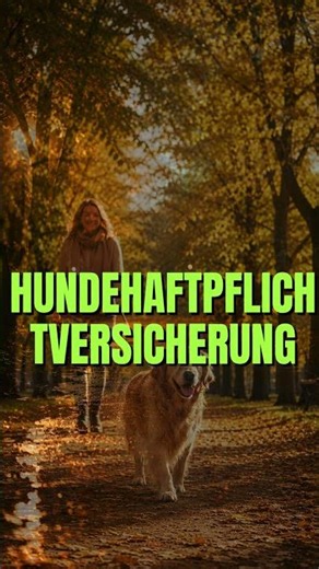 3.000€ pro Jahr – das kostet dein Hund wirklich #hundefakten #hundegesetze #hundeindeutschland