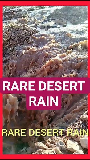 Rare Heavy Rain Transforms the Desert!”march 31