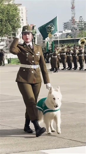 Escalón #carabinerosdechile #bandaschilenas #paradamilitar #paradamilitar2025 #carabineros #chile