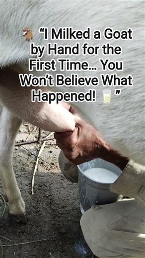 🐐 I Milked a Goat by Hand for the First Time… You Won’t Believe What Happened! 🥛#milking