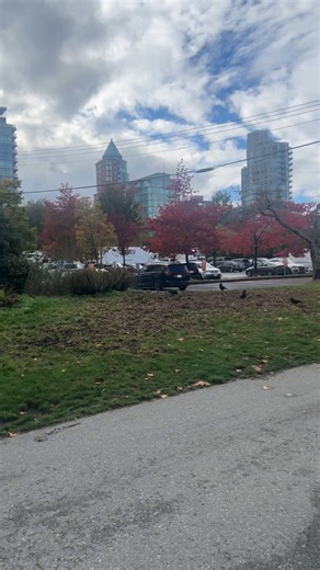 Cruising Through Stanley Park 🍁🚲 Vancouver’s Crown Jewel Canada 🇨🇦 #StanleyPark #VancouverViews #BikeVancouver #FallInVancouver #StanleyParkAdventures #ExploreBC #NatureInTheCity #CityEscape #AutumnVibes #ScenicRide #SeawallVibes #CyclingAdventures #WeekendRides #CoastalViews #CanadaTravel | Vancouver loves you