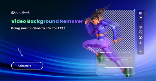 SocialBook Video Background Remover