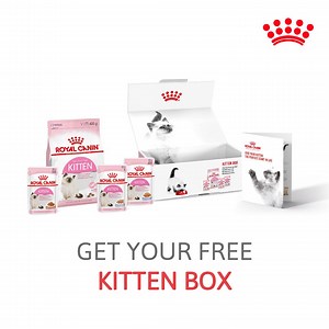 84 reactions · 60 shares | Get your FREE kitten box now!  Give your kitten the perfect start in life with tailor-made nutrition! | zooplus | Facebook