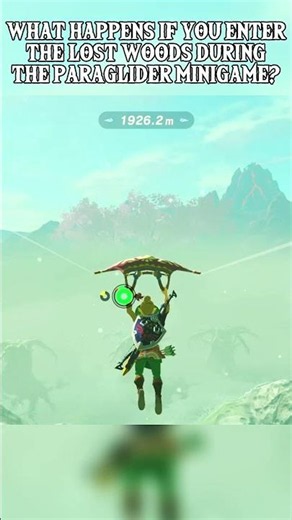Lost Woods During the Gliding Minigame #zelda #botwshorts #botw