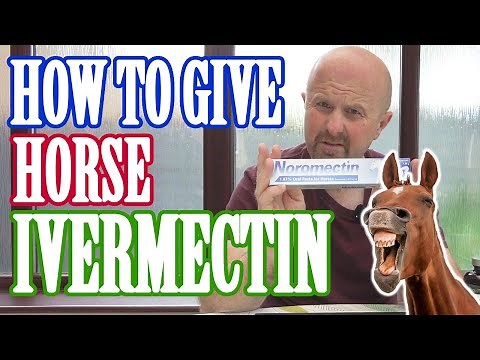 How to administer horse paste Ivermectin.