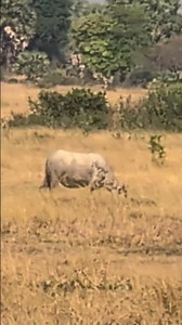 Zoom Phone Google Pixel 9 Pro XL #lifeisbutadream #allahﷻallahﷻ #whowillbemylifepartnerta