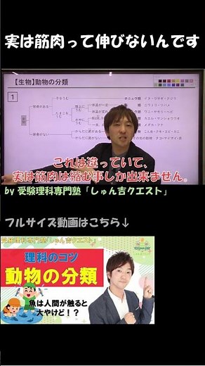 【理科のコツ「動物の分類」】 動物の分類を徹底解説【受験理科専門塾しゅん吉クエスト】