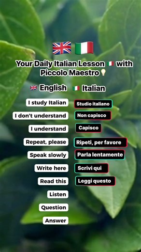 15K views · 510 reactions | Your Daily Italian Lesson  with Piccolo Maestro #LearnItalian #PiccoloMaestro #ItalianLanguage #ItalianLessons #ItalianForBeginners #ItalianMadeEasy #LearnWithMe #StudyItalian #DailyItalian #SpeakItalian #PiccoloMaestroItaliano #ItalianVibes #LanguageLearning #ItalianWords #LearnLanguages #ItalyLovers #ItalianCulture #ReelItalian #ItalianReels #ItalianLearningJourney #fblifestyle | Piccolo Maestro | Facebook