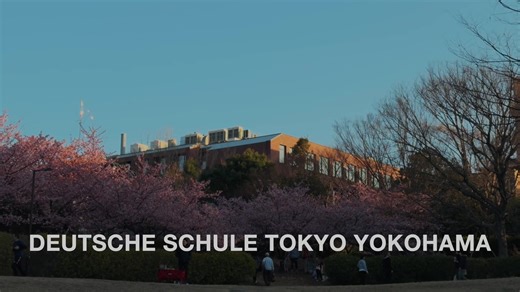 DEUTSCHE SCHULE TOKYO YOKOHAMA Hoodies Angebot
