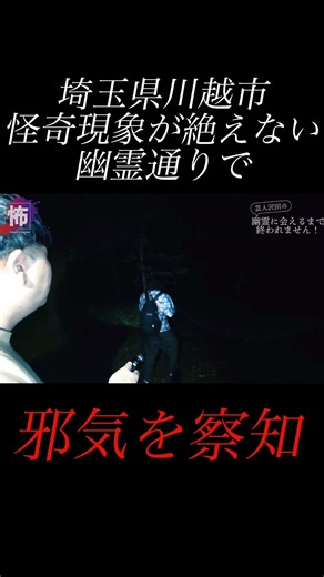 【⬇️本編はコチラ⬇️】恐怖を察知してしまい進めなくなった