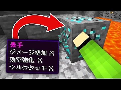素手が最強になってるマインクラフト