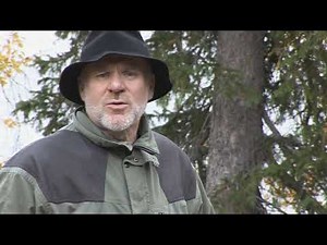 Kari Hämäläinen / Kaarisilta