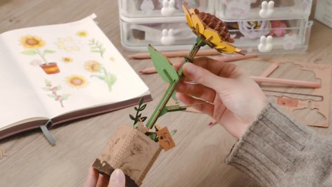 rowood 3D Wooden Puzzles for Adults,DIY Artifical Flower Botanical Collection Building Craft Kit,Mother's Day/Valentine's Day/Teacher's Day Purple Moth Orchid
