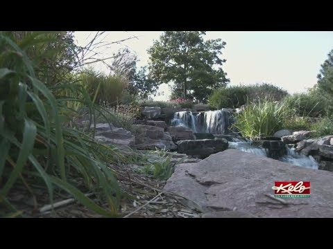 Late-summer splendor at Mary Jo Wegner Arboretum