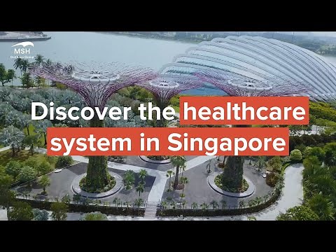 How does the healthcare system work in Singapore?