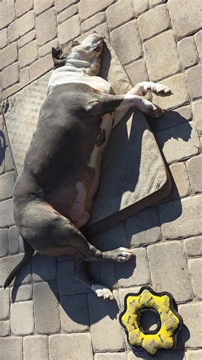 wOrDo (@el_wordo_)’s videos with original sound - Alpha Motivation