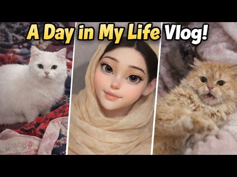 A normal day in my life |Daily vlog