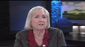 State Sen: Legislature will consider vouchers, immigration, Helene aid during special session on 'own merits'