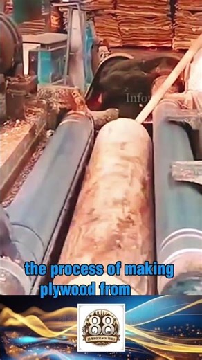 the process of making plywood from logs #shorts