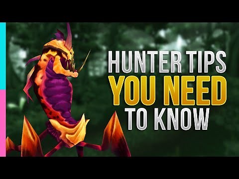 TBC Hunter Essential Guide : Burning Crusade Primer | WoW TBC Classic