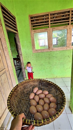 mau kasih telor buat dede hafi⁉️