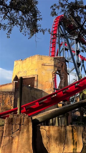 Would you go on this one? #fyp #buschgardens #sheikra #rides #park
