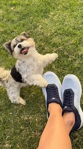 "These hands-free walking shoes make life, well… so easy! No bending down, no fuss—just slip in and go." // @a.two.drink.minimum #EasySpirit Link below to shop the Adira https://easy-spirit.visitlink.me/L1mefz | Easy Spirit