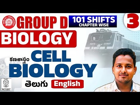 RRB Group D Cell Biology PYQs Explained 🔥 | Part-3 | Most Expected Questions 2026