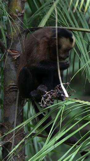 It is time to reconnect with yourself in the Amazonian forests of Tambopata