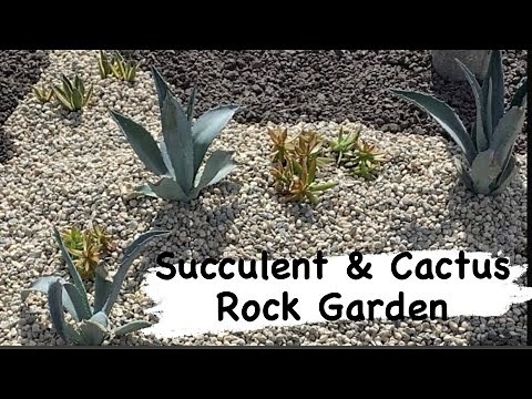 Succulent And Cactus In Ground Rock Garden / Succulent Garden / Succulent Tapestry
