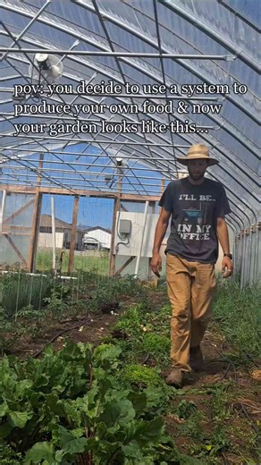 Growing Food is a System – How to Do It Right
