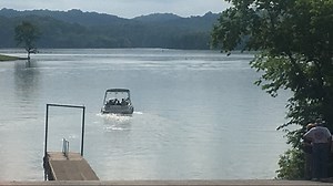 What's in Tellico Lake?