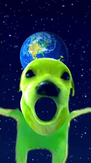 Cookie roasts alien dog