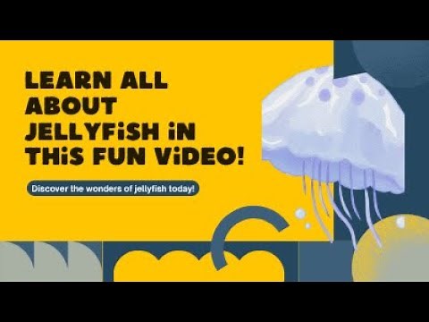 Jellyfish Explained: Educational Kids Nature Video
