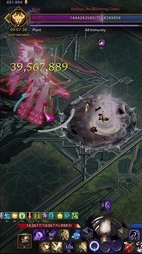 DPS Artist in Lost Ark Solo Raid
