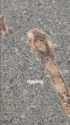 Laminate Benchtop Burn Repair | Multiple Heat Marks Expertly Restored