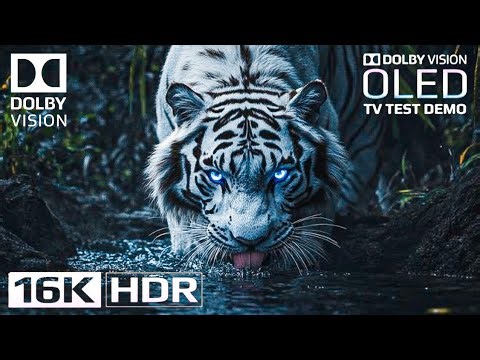 Mind-Blowing 16K HDR 240 FPS | Dolby Vision OLED Demo (For 8K/4K TV)